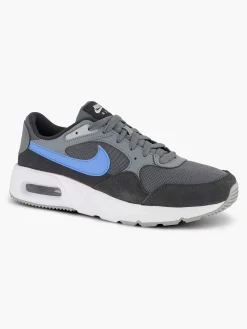 Nike Grijze Air Max-Heren Sneakers